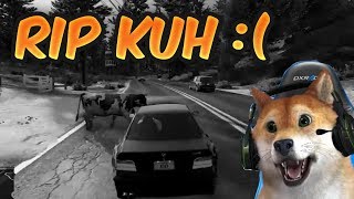 🐶 Stream Highlights CSYON fährt die Kuh an 😱 [upl. by Schriever124]