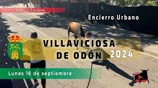 EMOCIONANTE ENCIERRO VILLAVICIOSA de ODÓN  16092024 [upl. by Solrac]