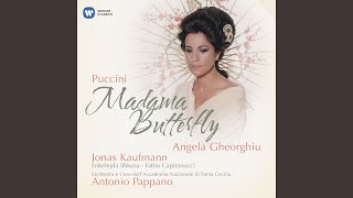 Madama Butterfly Act 1 quotVogliatemi bene un bene piccolinoquot Butterfly Pinkerton [upl. by Eemak]