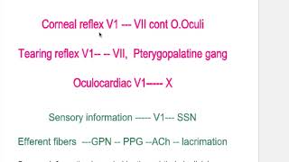 Oculocardiac Corneal blink Tearing lacrimation reflex [upl. by Botnick980]