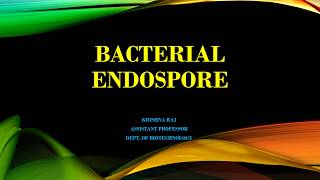 BACTERIAL ENDOSPORE MALAYALAM [upl. by Chrissie]