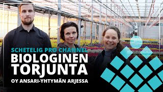 Schetelig Pro Channel  Biologinen torjunta Oy AnsariYhtymän arjessa [upl. by Peedsaj]