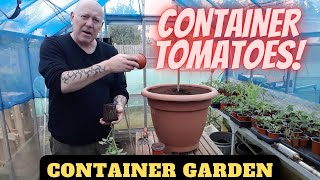 Container Tomatoes Gardening Allotment UK Grow Vegetables At Home [upl. by Alekat]