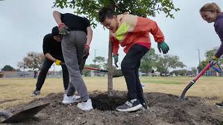 Volunteers Gather to Celebrate Arbor Day at Watson Park [upl. by Inalawi]