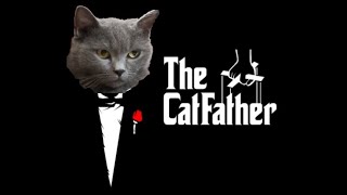 THE CATFATHER  The Scene [upl. by Gimpel]