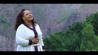 Amsal Mitike  ወይ ወሎ  Ethiopian Music 2019 Official Video [upl. by Tollmann]