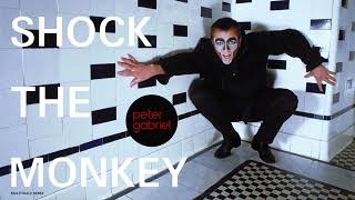 Peter Gabriel  Shock The Monkey Extended 80s Multitrack Version BodyAlive Remix [upl. by Aggappe57]