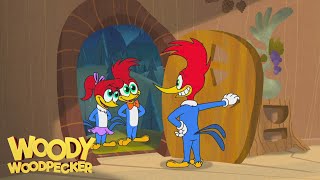 Woody Woodpecker Animated Compilation For Kids  WildBrain Max [upl. by Notlem]