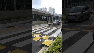 Cars wait for Pedestrians to cross in Singapore busy Junction Singapore trending roadcrossing [upl. by Lenora]