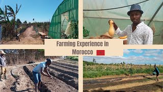 Ma première expérience dans une Ferme Agricole au Maroc  Vlog morocco [upl. by Eaneg222]