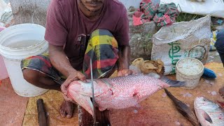 Nice Cutting Style  Giant Katla Fish Cutting Skills In Bangladesh Village [upl. by Wilhelmine]