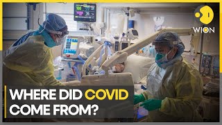 Covid origin China began developing two vaccines before official outbreak  English News  WION [upl. by Yrolg]