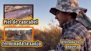 133 YA ESTAN LISTOS LOS TANQUES Y TERMINADA LAS ZANJAS DEL PROXIMO GALLINERO 🔥🐓 campo vlog [upl. by Annaoy505]