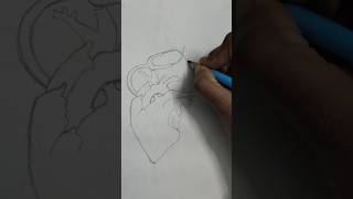 How to draw heart with stethoscope 🩺  easy drawing [upl. by Burta52]