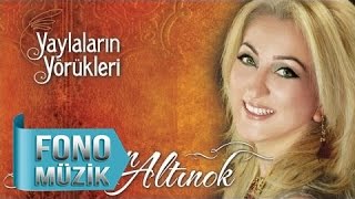 Nurcan Altınok  Usandım El Gızından Official Audio [upl. by Aihtnamas]