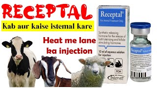 Infertility Solution in Dairy Animals  Receptal  How and When to Use Receptal in Cows amp Buffaloes [upl. by Nulubez]