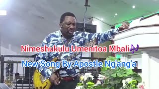 Nimeshukulu Umenitoa Mbali by Apostle Nganga [upl. by Dorlisa]