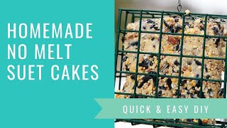 DIY Suet Cakes [upl. by Yenohtna832]