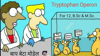 Repressor operon Enzyme represson [upl. by Ahsemat945]