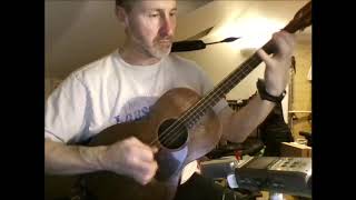 Cedars of Lebanon Irish reel on 1931 Martin 517T Tenor Guitar [upl. by Ube]