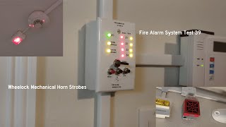 Fire Alarm System Test 39 Wheelock Mechanical Horn Strobes PANEL GLITCHES [upl. by Eelrihs]