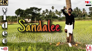 Sema Songs  Sandalee Village Cover Album Song  TenX Channel  10X Review Channel [upl. by Bethanne365]