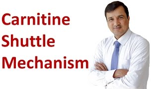 Carnitine Shuttle Mechanism [upl. by Krystalle531]