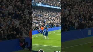 Cole Palmer goal Chelsea vs Newcastle football 2  1 wild celebrations shorts short [upl. by Dnomaid]