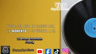 Mi Amor Anhelado  Francy  Con Letra Video Lyrics [upl. by Adnamar]