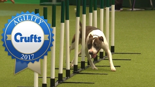 Agility  Crufts Team Medium Final Part 1  Crufts 2017 [upl. by Cohla]