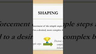 Mastering Shaping A Key to Effective Behavioral Training psychology [upl. by Wainwright916]