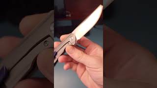 Kansept Mini Accipiter timascus edc knife [upl. by Naziaf]