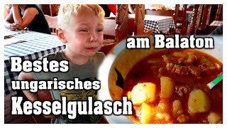 Wir suchen das beste original Kesselgulasch in Ungarn  VLOG  Hobbyfamilie [upl. by Wales140]