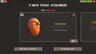 POOTIS BIRD AQUIRED [upl. by Granlund550]