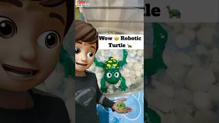 Wow 🤩 Robotic Turtle 🐢  minivlog [upl. by Rett]