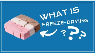 How Does Freeze Drying Work [upl. by Arva469]