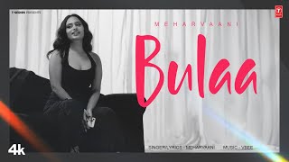 BULAA Official Video  MEHARVAANI  Latest Punjabi Songs 2024 [upl. by Ayamahs]