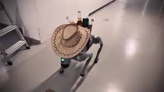 Robot dog Moby offering free drinks [upl. by Irat]