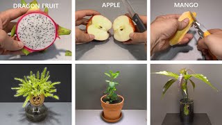 3 Years in 20 Minutes  Growing Plants Time Lapse Copilation [upl. by Atiuqnahs]