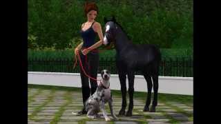 Sims 3 Horses and Foals [upl. by Rudman]