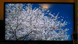 Sony Bravia KDL50EX645 LED HDTV Review [upl. by Ynnob]