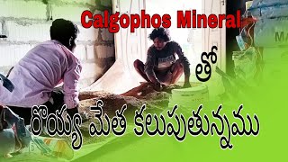 Adding shrimp feed రొయ్య మేత కలుపుతున్నా ము with calgophos virbac medicineMuvvalaRajubabu [upl. by Oflodur]