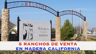 5 RANCHOS DE VENTA EN MADERA CALIFORNIA [upl. by Janeta272]