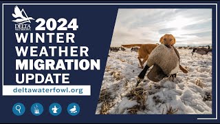 January 2024 Winter Weather Migration Update [upl. by Theresina662]