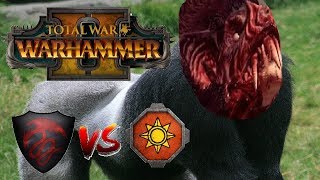 Vampire Counts vs Lizardmen  VARGHULF GORILLA  Total War Warhammer 2 [upl. by Tizes]