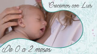 Desarrollo del bebé de 0 a 2 meses [upl. by Ryann]