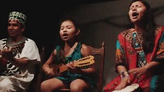 Medicine Music  01 Yawanawa Tribe Healing Songs of the Amazon Rainforest  Ayahuasca Songs [upl. by Sirtaeb]