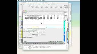 ApE Tutorial Video 9  In silico PCR [upl. by Mcarthur934]