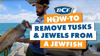 How to Remove Tusks amp Jewels from a Jewfish [upl. by Nolahc]