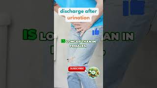 Discharge After Urination in Men Normal or Not UrinaryTract [upl. by Eymaj]